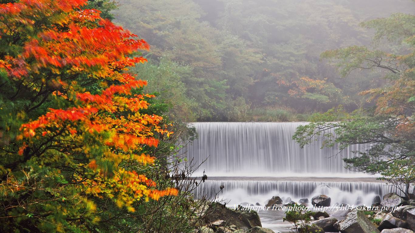 霧島川と堰堤の滝紅葉をモチーフしました 「高画質＋高解像度(1366×768)」デスクトップ無料壁紙」