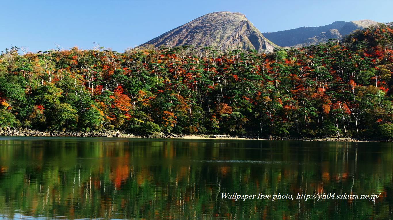 六観音御池の紅葉をモチーフしました 「高画質＋高解像度(1366×768)」デスクトップ無料壁紙」