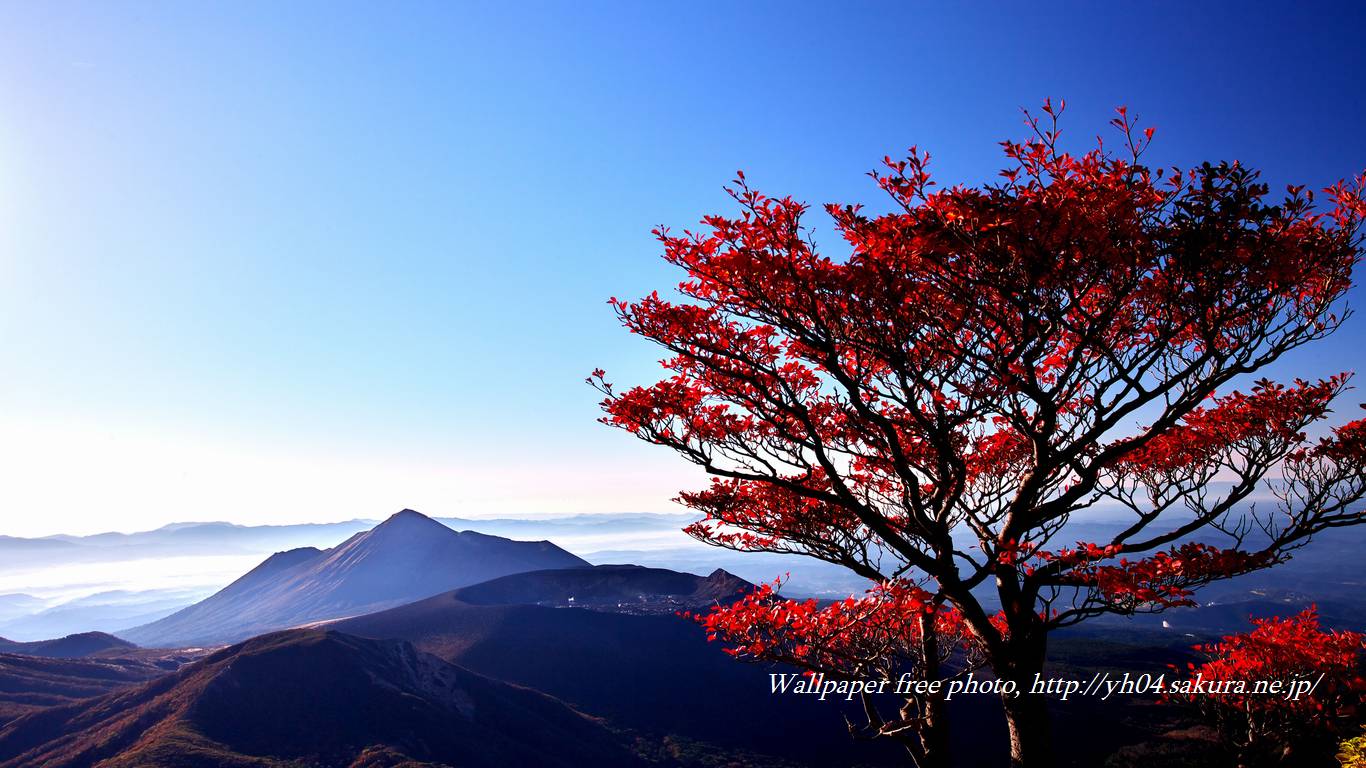 霧島連山とドウダンツツジをモチーフしました 「高画質＋高解像度(1366×768)」デスクトップ無料壁紙」