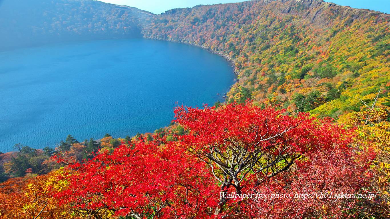 大波の池とドウダンツツジをモチーフしました 「高画質＋高解像度(1366×768)」デスクトップ無料壁紙」