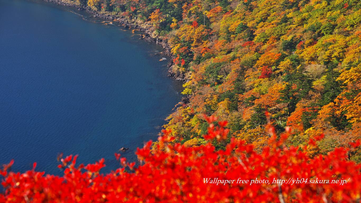 大波の池とドウダンツツジをモチーフしました 「高画質＋高解像度(1366×768)」デスクトップ無料壁紙」