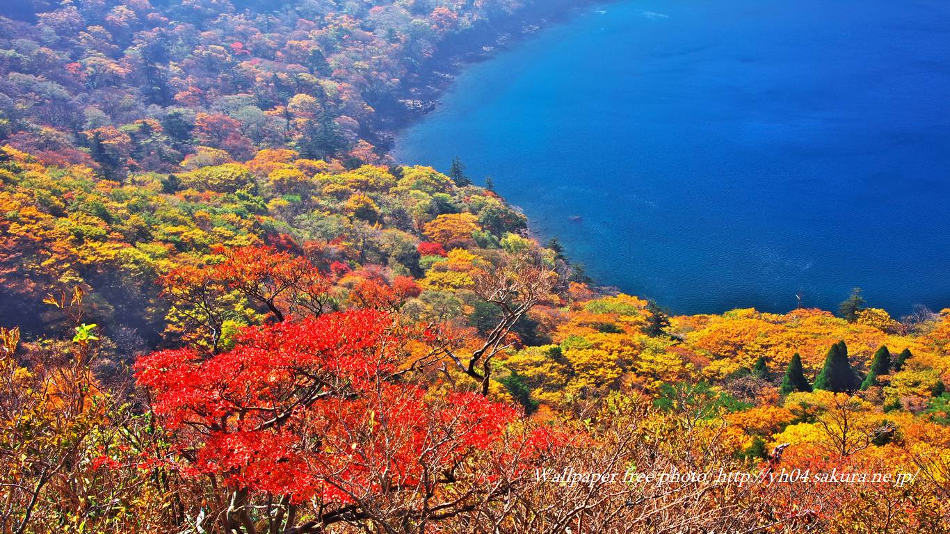 大波の池とドウダンツツジをモチーフしました 「高画質＋高解像度(1366×768)」デスクトップ無料壁紙」