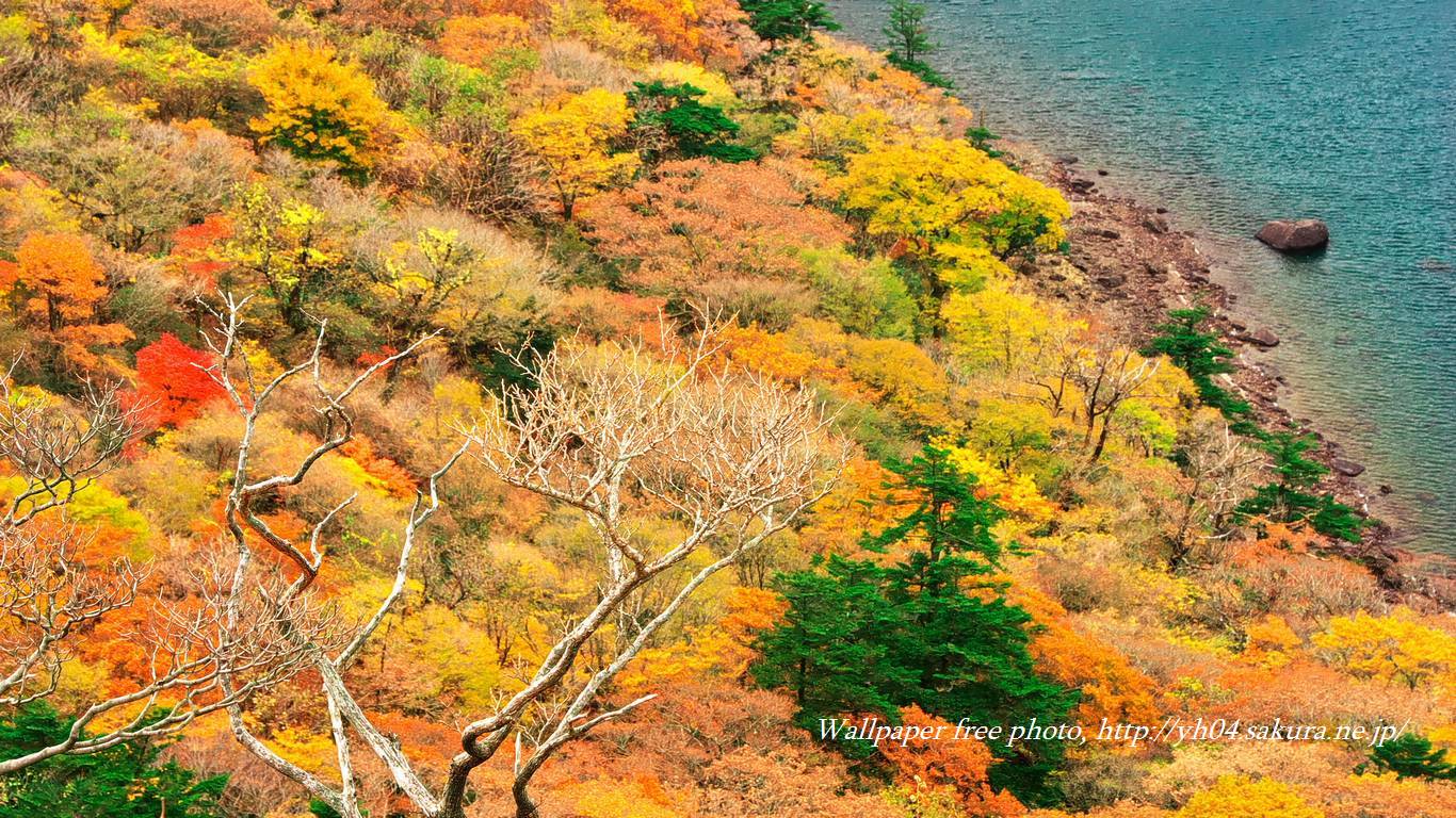 大波の池とドウダンツツジをモチーフしました 「高画質＋高解像度(1366×768)」デスクトップ無料壁紙」