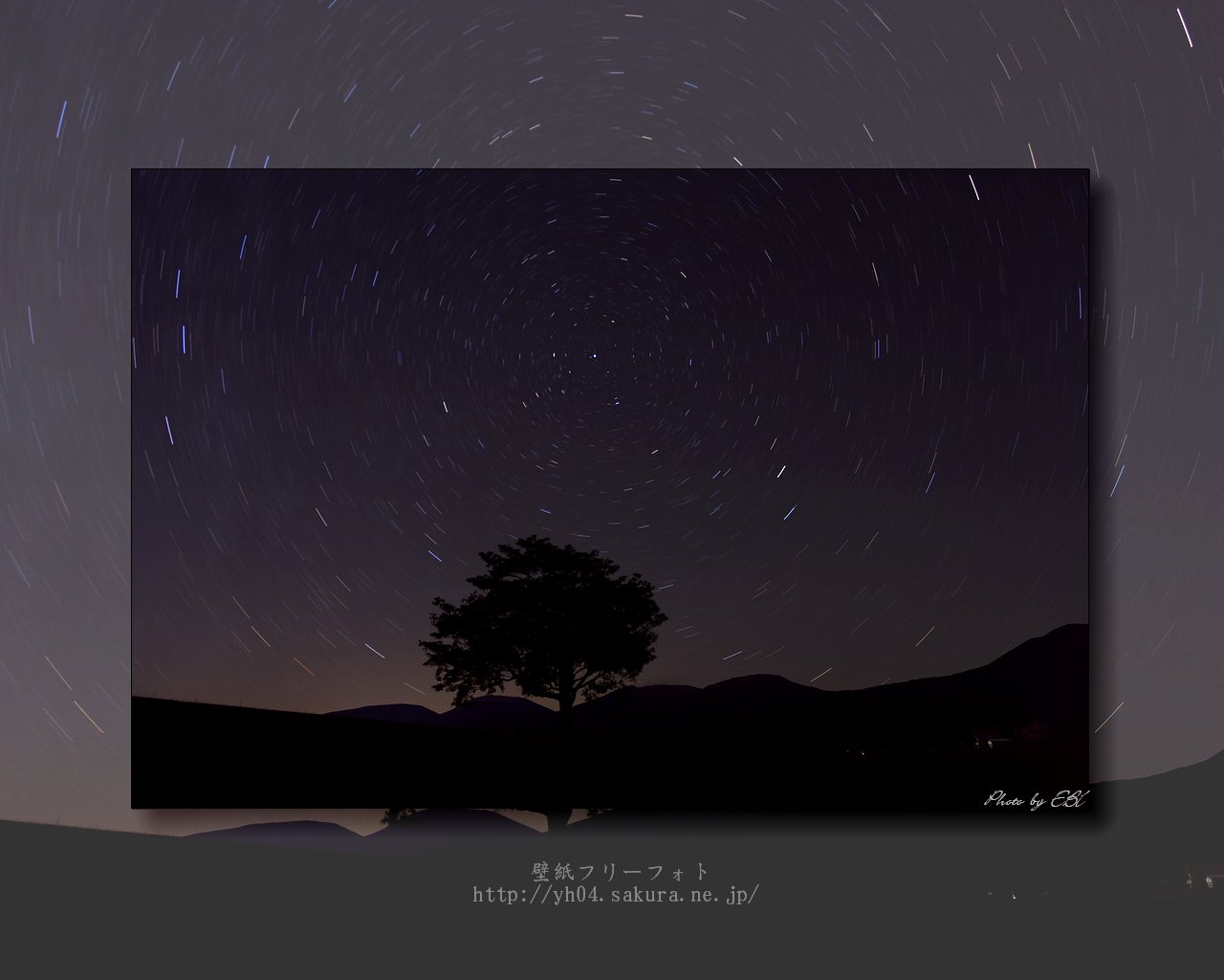 高千穂牧場に立つ一本の樹と北極星をモチーフしました 「高画質＋高解像度(1280×1024)」デスクトップ無料壁紙」