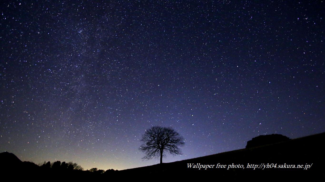 北極星と一本の樹をモチーフしました 「高画質＋高解像度(1366×768)」デスクトップ無料壁紙」
