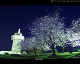 霧島市の城山公園